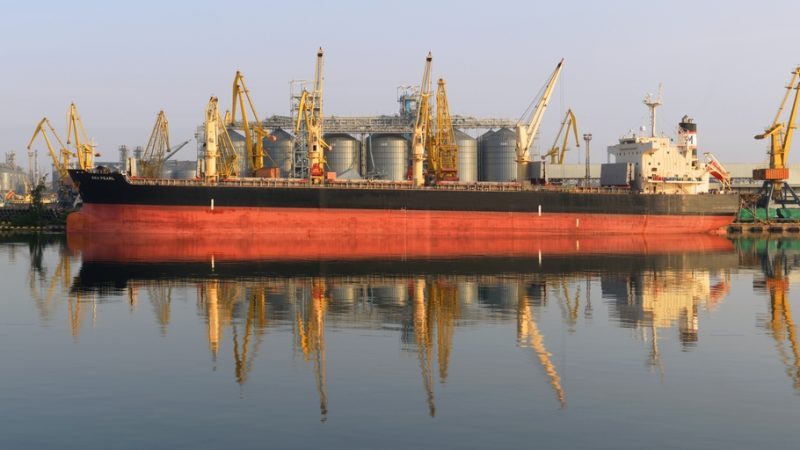 صادرات أوكرانيا من الحبوب تسجل 800 ألف طن في أقل من أسبوع