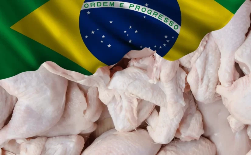 الدواجن البرازيلية
