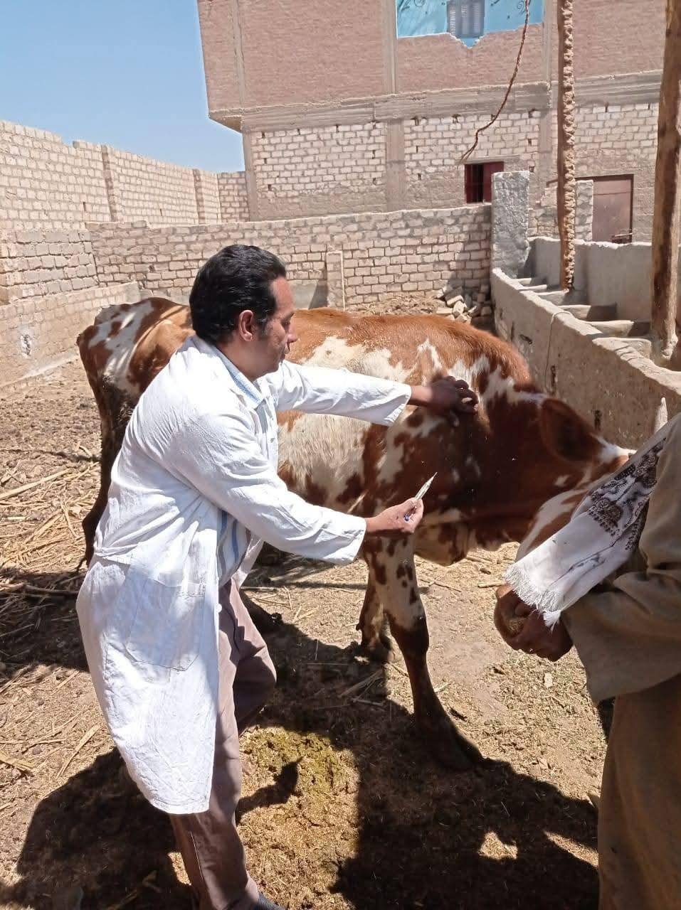 الزراعة