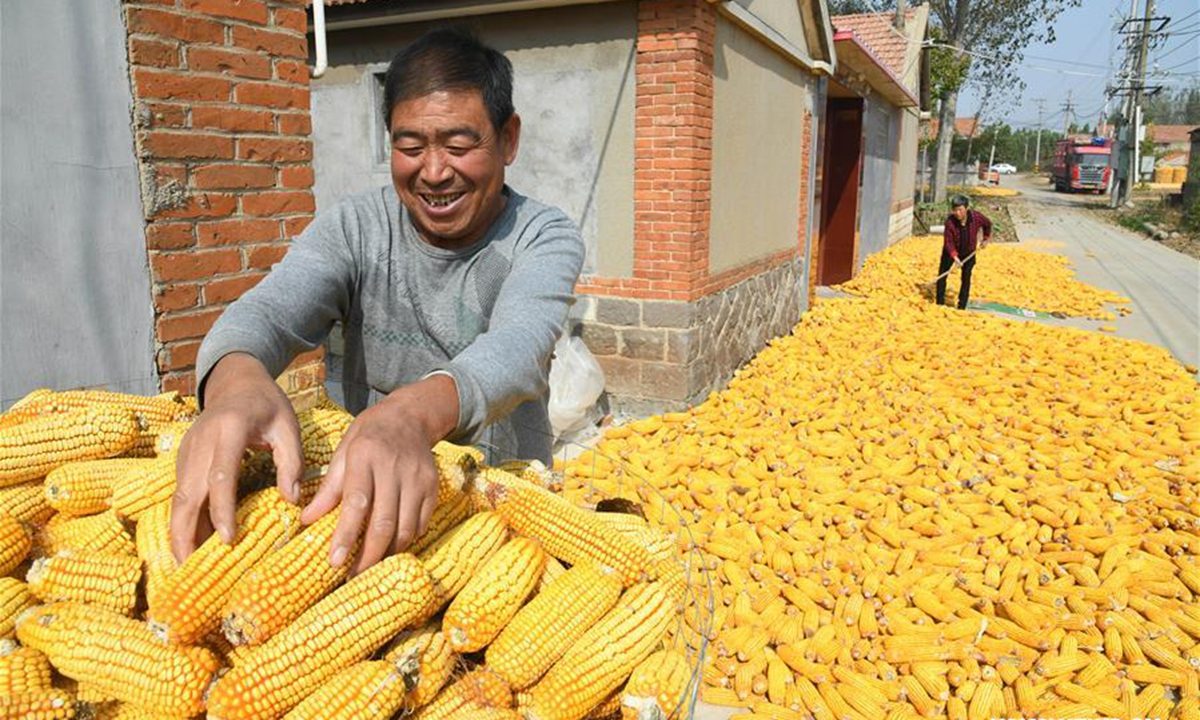 الصين تخفض وارداتها من الذرة بنسبة 81 %