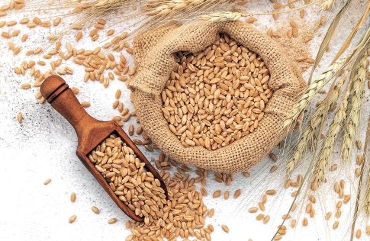 العقود الآجلة للقمح