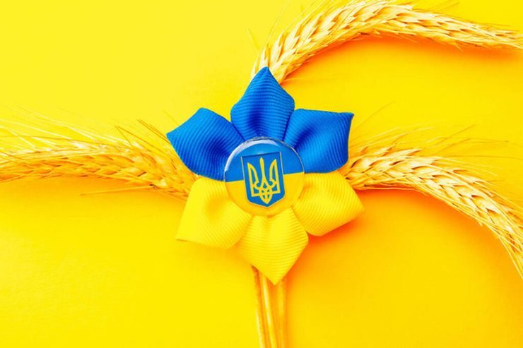 القمح الأوكراني