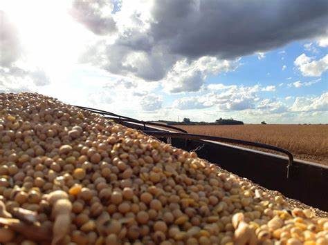 الولايات المتحدة تبيع 485.8 ألف طن من فول الصويا في أسبوع