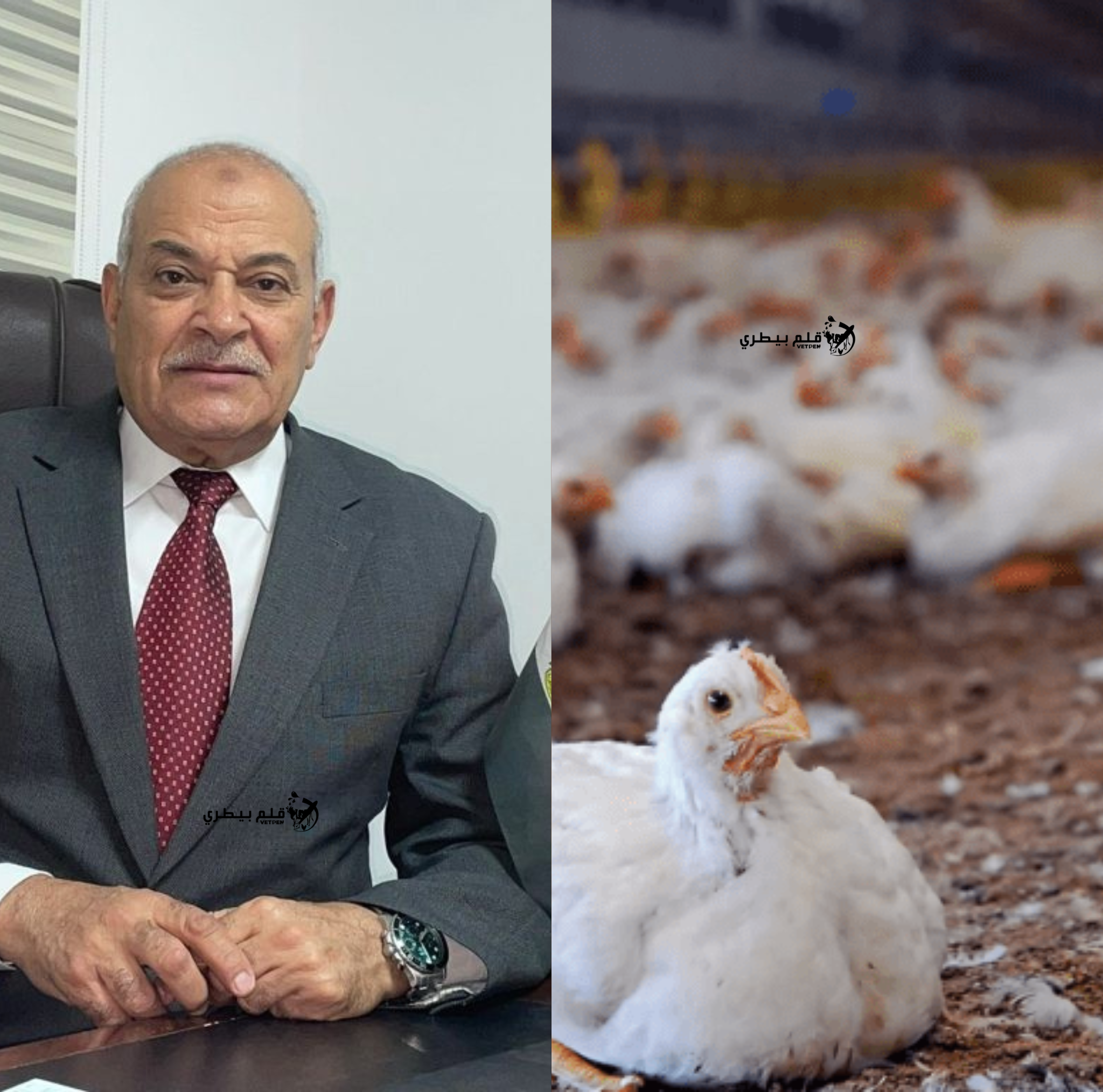 عبد العزيز السيد