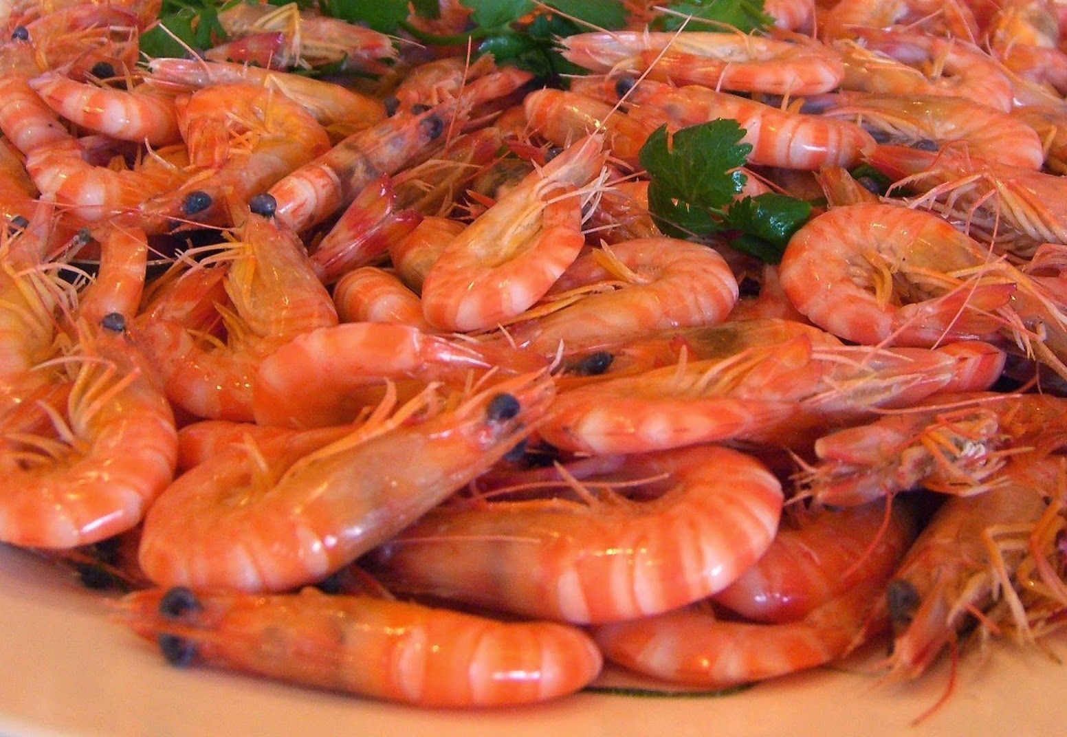 كوريا الجنوبية تفتح أسواقها أمام الجمبري البرازيلي