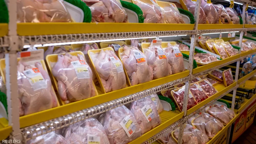 تصدير الدواجن