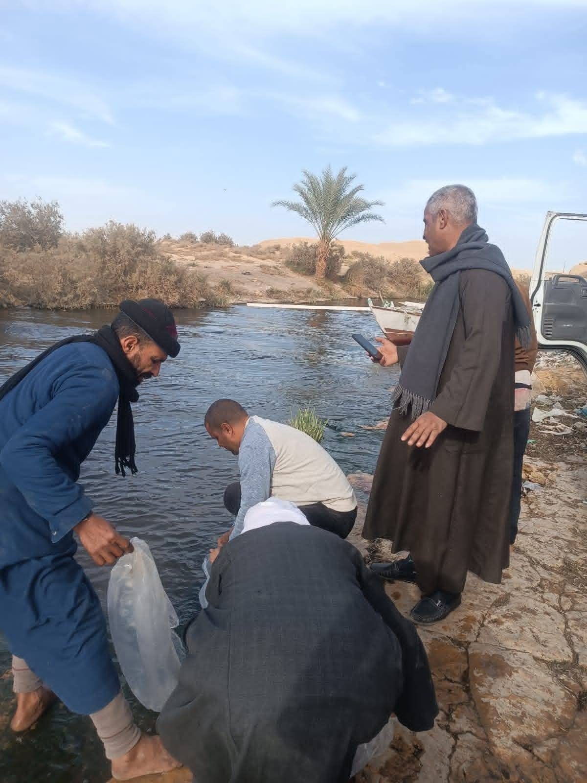 زريعة الطوبارة