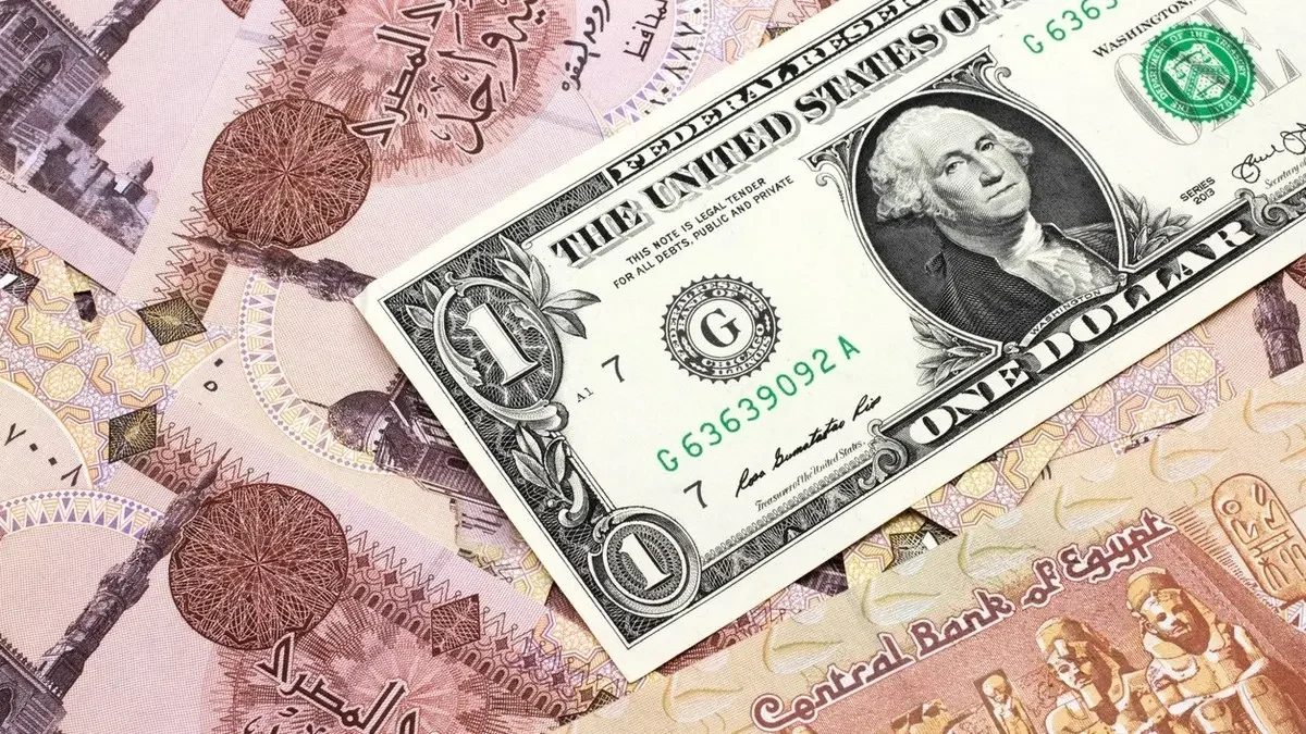 سعر الدولار