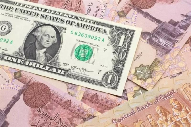 سعر الدولار