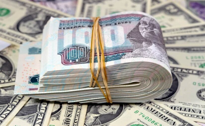 سعر الدولار