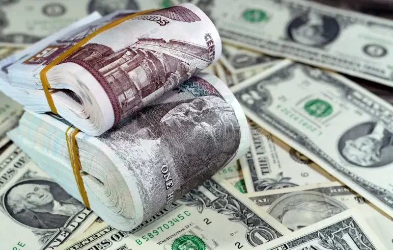 سعر الدولار