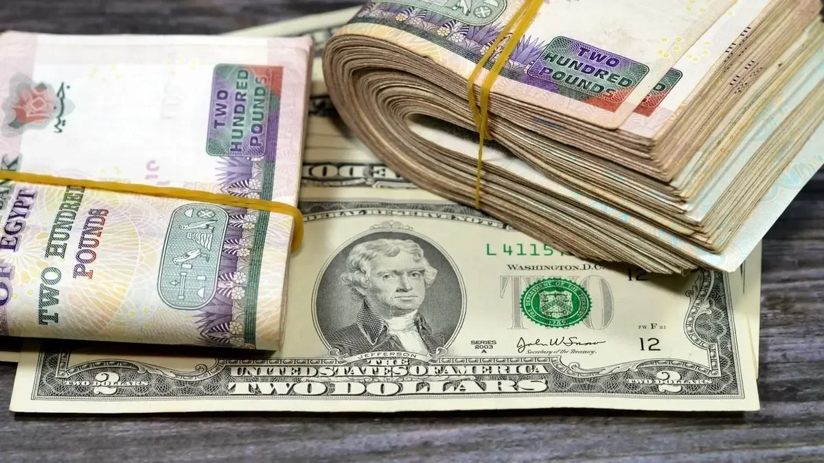 سعر الدولار