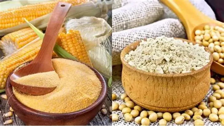 سلال الإيرانية تطرح مناقصات لشراء الذرة وكسب الصويا