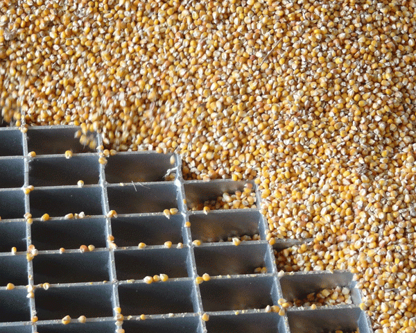 أوكرانيا تصدر 13 مليون طن من البضائع.. وتدعي "استعادة" البحر الأسود