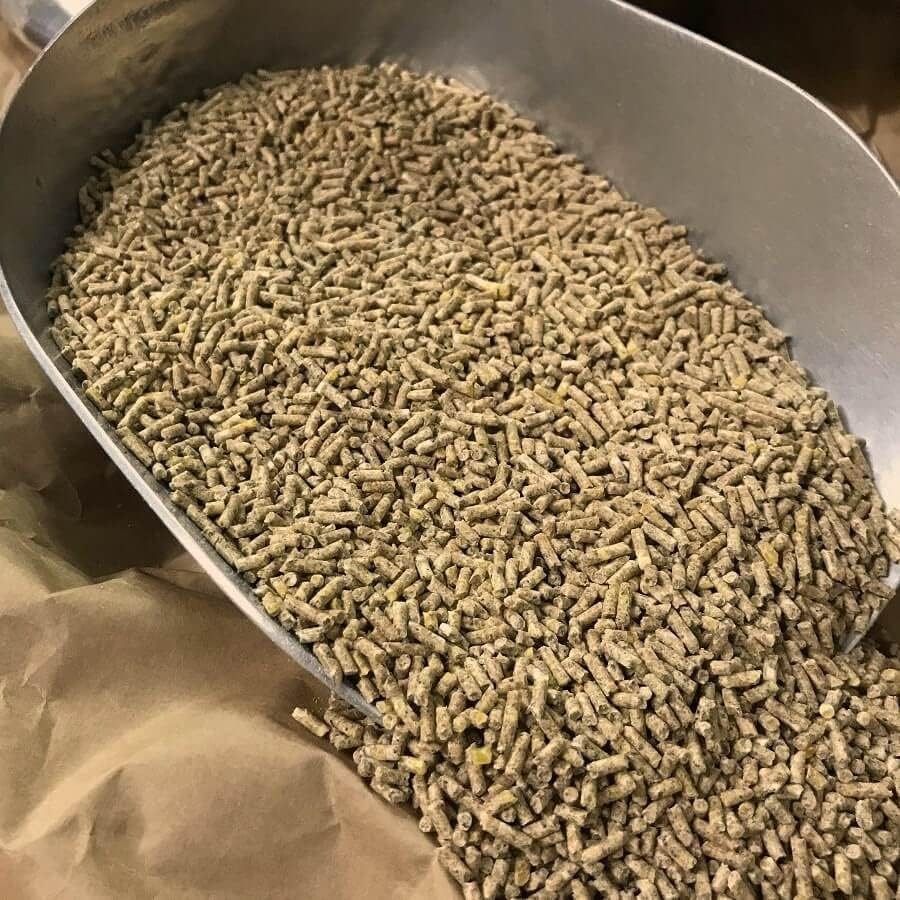 خاص| العبور للأعلاف: عمليات شراء في الأسواق تتم علي قدر الاحتياجات فقط