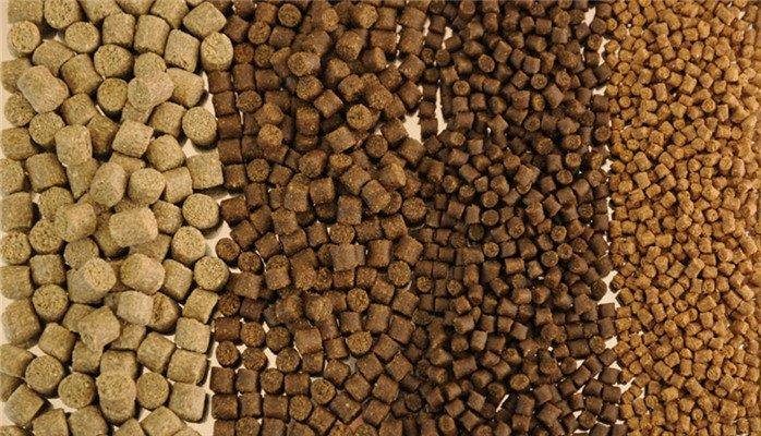 سكريتنج إيجيبت : المُزارعين يلجاون لحجز الأسماك وتأجيل البيع لتجنب المقاطعة