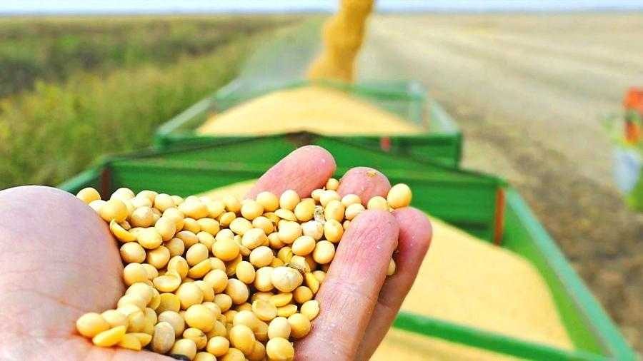 الأرجنتين تفقد محصول فول الصويا بسبب الحرارة الشديدة