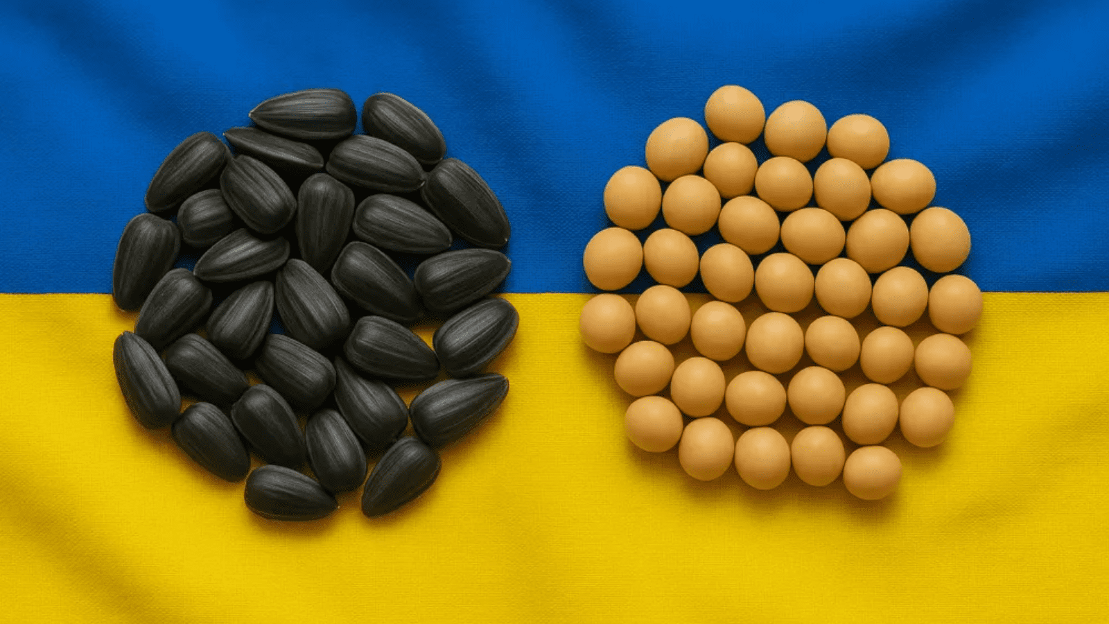 الصويا الأوكراني