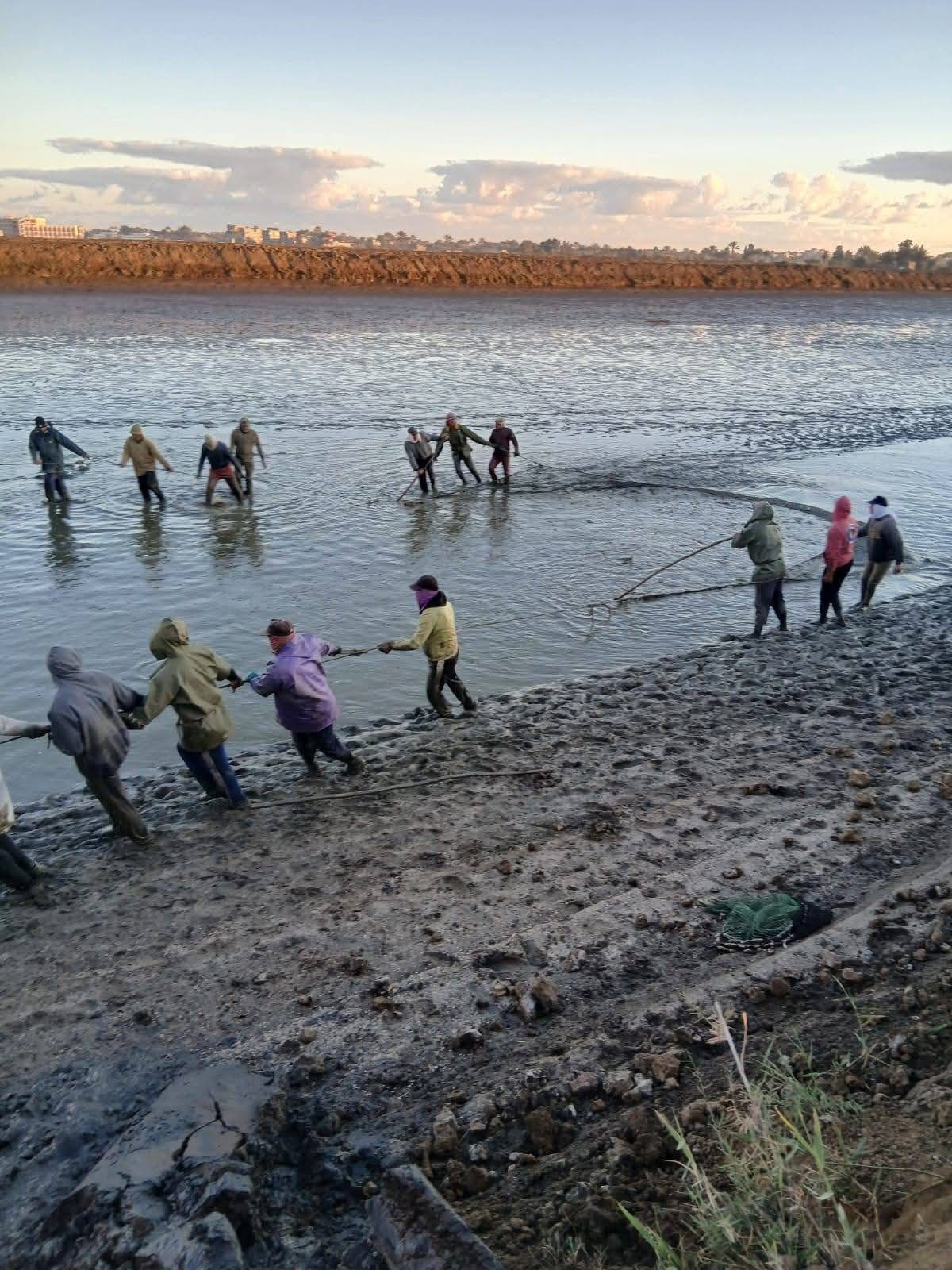 مزرعة المنزلة السمكية