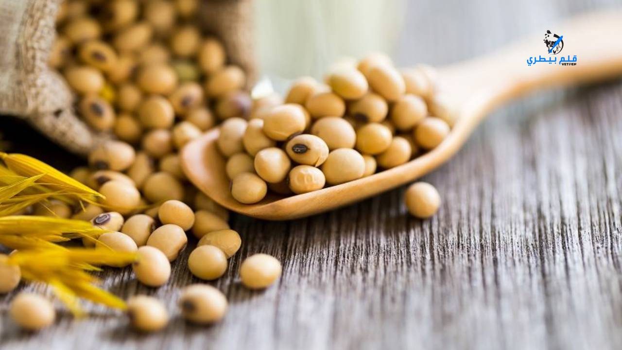 أسعار فول الصويا