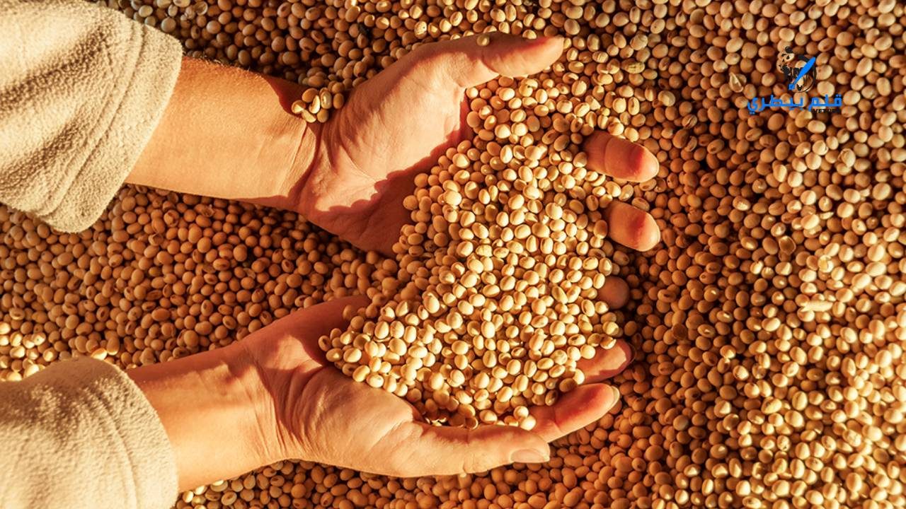 بورصة الحبوب