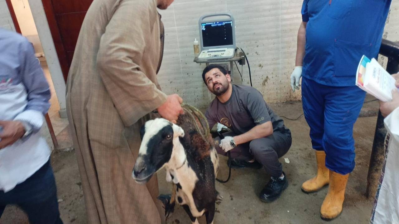 وزارة الزراعة